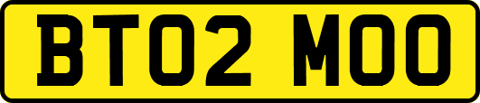 BT02MOO