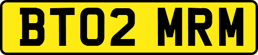 BT02MRM