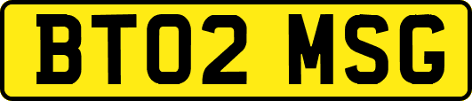 BT02MSG
