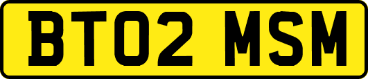 BT02MSM