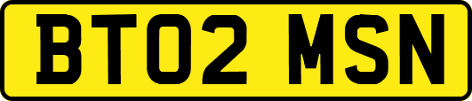 BT02MSN