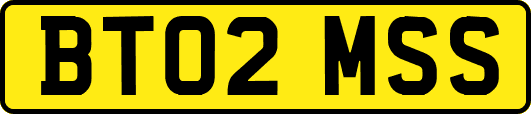 BT02MSS