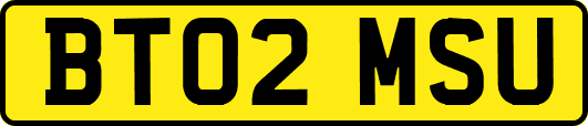 BT02MSU