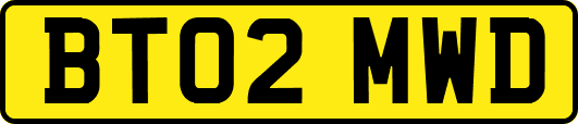 BT02MWD