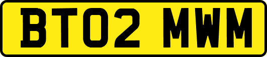 BT02MWM