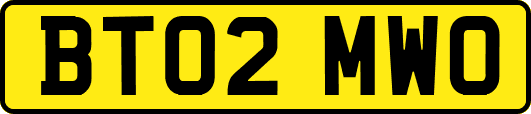 BT02MWO