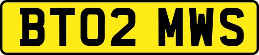 BT02MWS