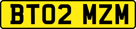 BT02MZM