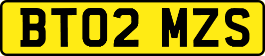 BT02MZS