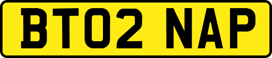 BT02NAP