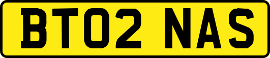 BT02NAS