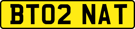 BT02NAT
