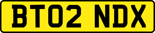 BT02NDX