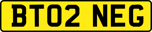 BT02NEG