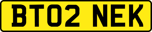 BT02NEK