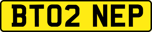 BT02NEP