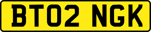 BT02NGK