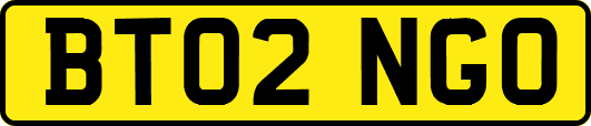 BT02NGO