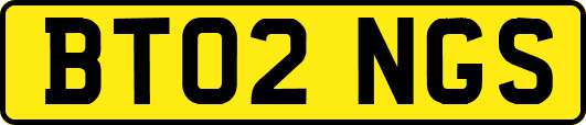 BT02NGS