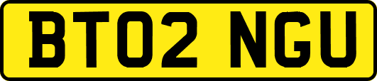BT02NGU