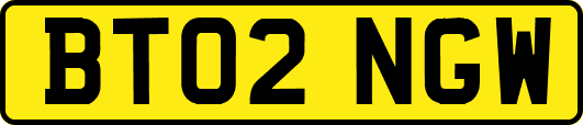 BT02NGW
