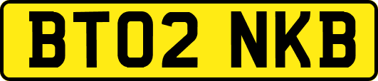 BT02NKB