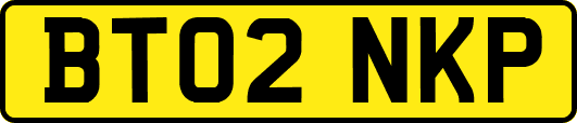 BT02NKP