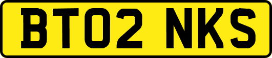 BT02NKS