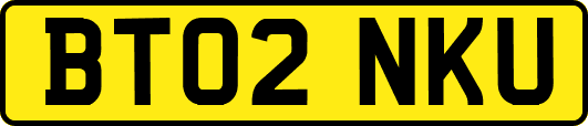 BT02NKU