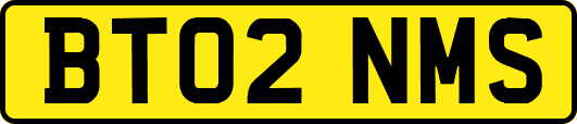 BT02NMS