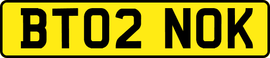 BT02NOK