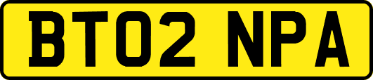 BT02NPA