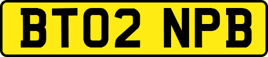 BT02NPB