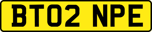BT02NPE