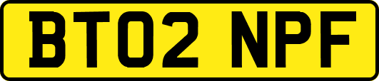 BT02NPF