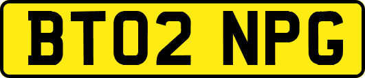 BT02NPG
