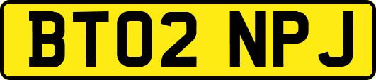 BT02NPJ