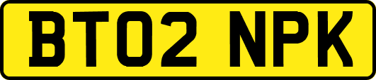 BT02NPK