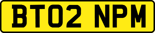 BT02NPM