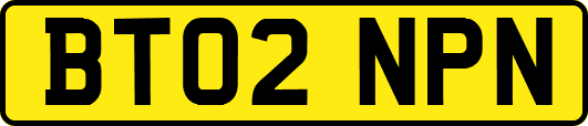 BT02NPN
