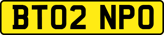 BT02NPO