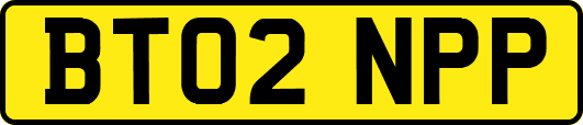 BT02NPP