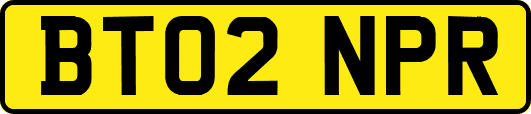 BT02NPR