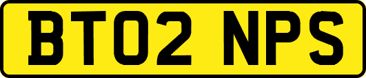 BT02NPS
