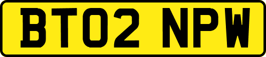 BT02NPW