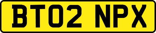 BT02NPX