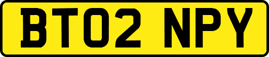 BT02NPY