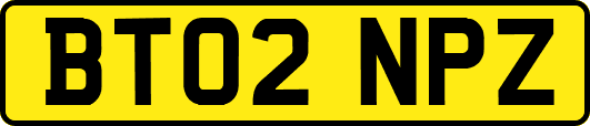 BT02NPZ