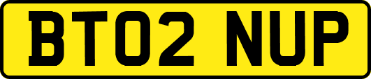 BT02NUP