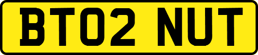 BT02NUT